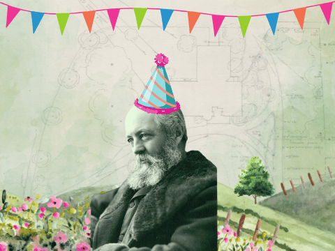Frederick Law Olmsted sitting in a bed of flowers wearing a party hat.